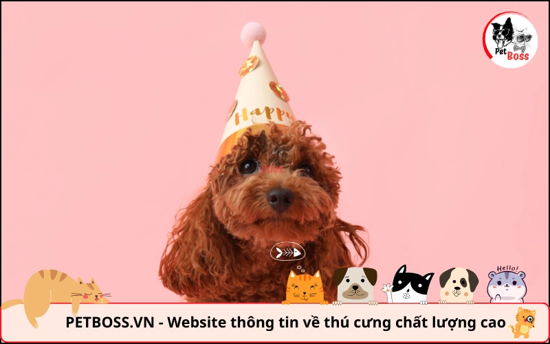 quy trình đặt tên